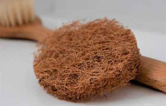 10 Admirable Benefits Of Coconut Scrub Pads! 5 20210516 033944