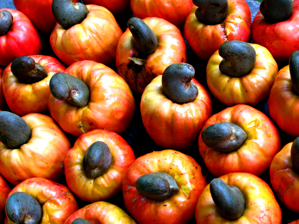 5 Fascinating Benefits Of Cashew Nuts! 2 600Px Cashew 1