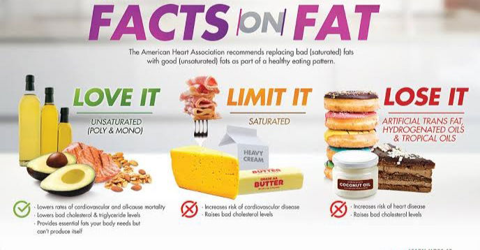 Fats Doesn'T Makes Us Fat! 12 Img 20200209 170900
