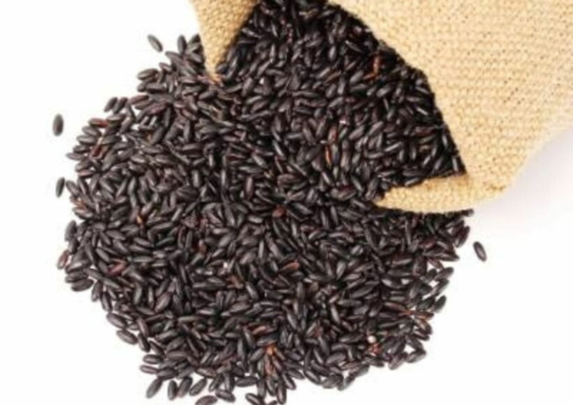 Webp.net Resizeimage 4