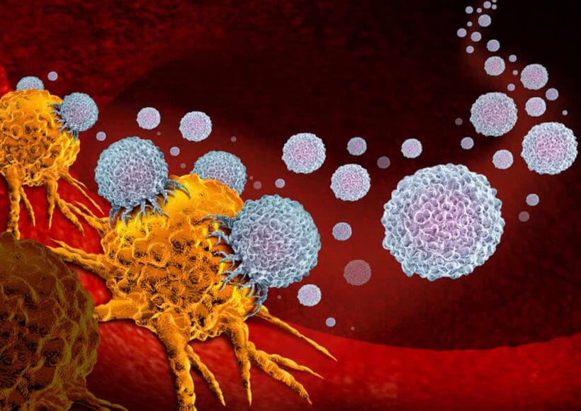 20 Powerful Foods That Can Lower The Risk Of Cancers!! 2 Health Benefits Of Blackberries