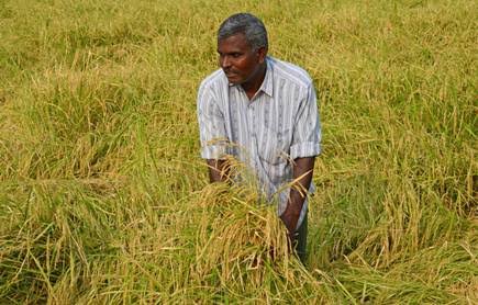 Images 2020 02 06T224633.855