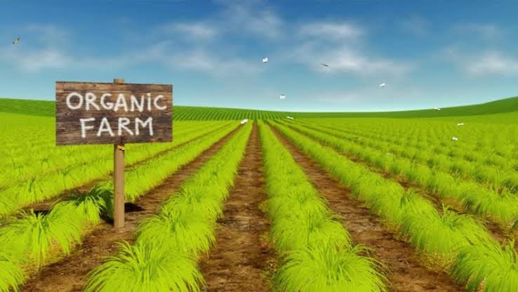 Images 2020 02 25T213100.765