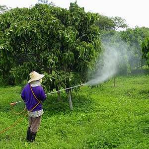 Images 2020 02 25T213112.645