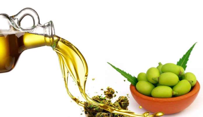 Neem Oil 1