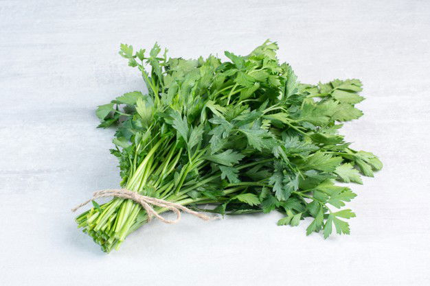 Bunch Fresh Coriander Leaves Stone Surface High Quality Photo 114579 26912