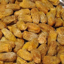Dry Golden Date 250X250 1