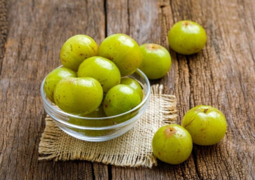 Webp.net Resizeimage 11