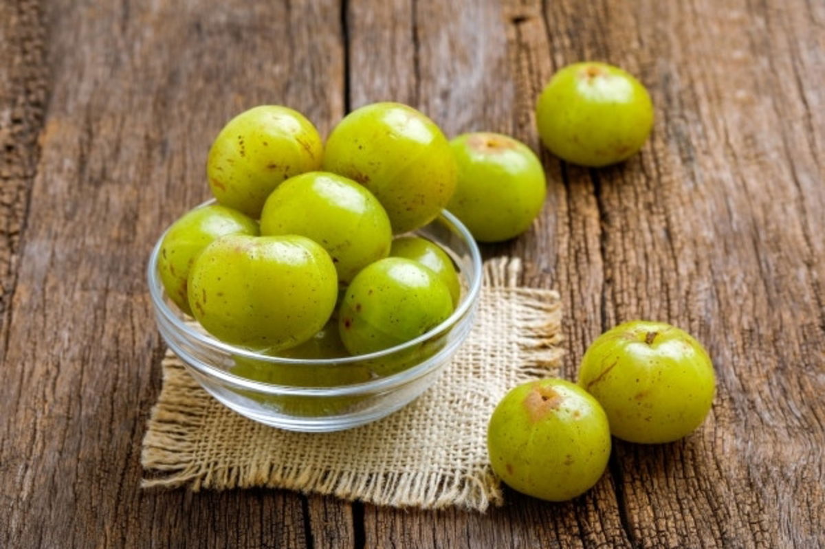 Webp.net Resizeimage 11