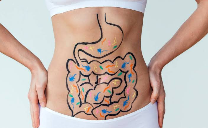 7 Spectacular Benefits Of Apricots! 4 Images 41 2