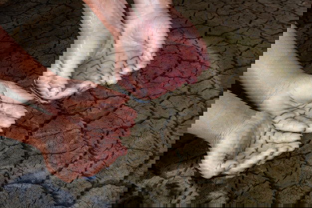 Children S Hands Arid Soil 36386 129 1