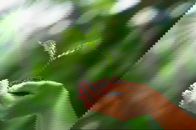 Hand Holding Young Plant Blur Green Nature Concept Eco Earth Day 34152 1775