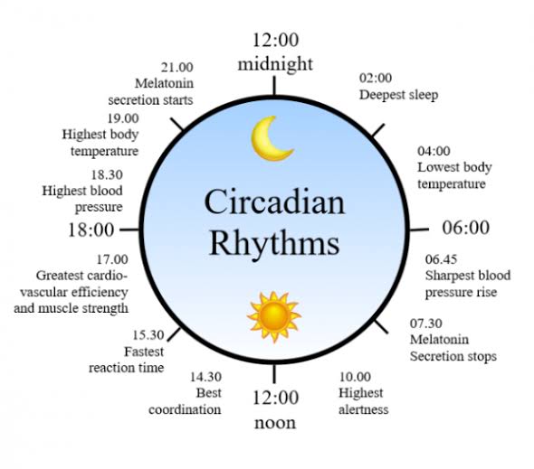 Figure Out The Easiest Night Shift Diet Ideas Before Becoming A Victim! 5 Images 2020 05 26T215537.631