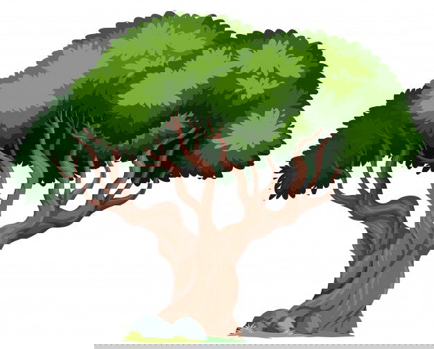 5 Moral Stories To Swap Your Baby'S Personality! 4 Isolated Tree White Background 1308 24265