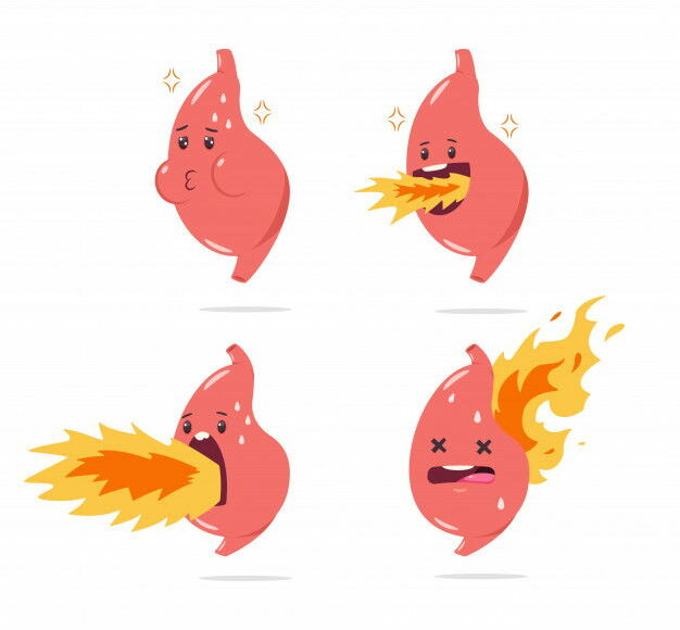 Stomach Heartburn Vector Cartoon Character With Funny Internal Organ With Fire Illustration Set Isolated 97231 796