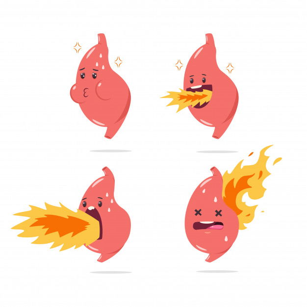 Stomach Heartburn Vector Cartoon Character With Funny Internal Organ With Fire Illustration Set Isolated 97231 796