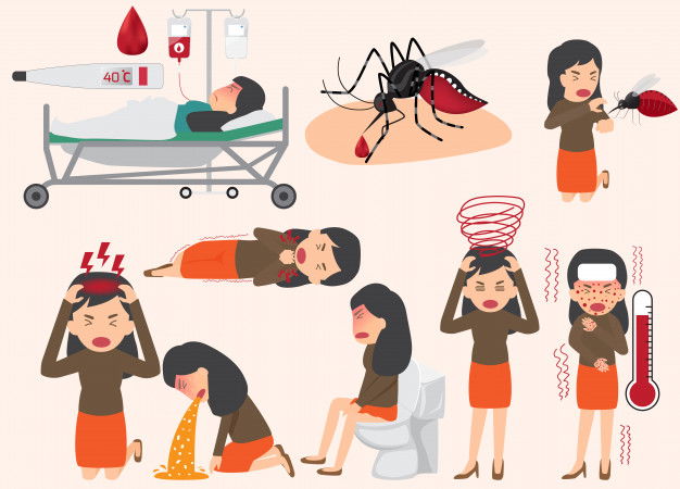 Boost Up Your Platelets Levels! 8 Unexpected Benefits Of Papaya Leaf Extract 3 Template Design Details Dengue Fever Flu Symptoms With Prevention Infographics People Sick That Have Dengue Fever Flu Health Medicine Cartoon 27170 218