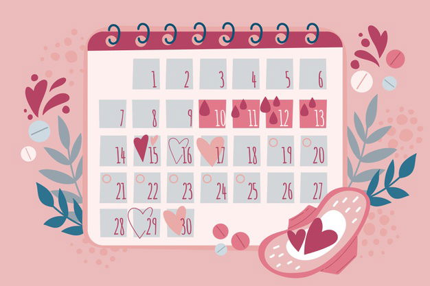 Menstrual Calendar Concept 23 2148653149