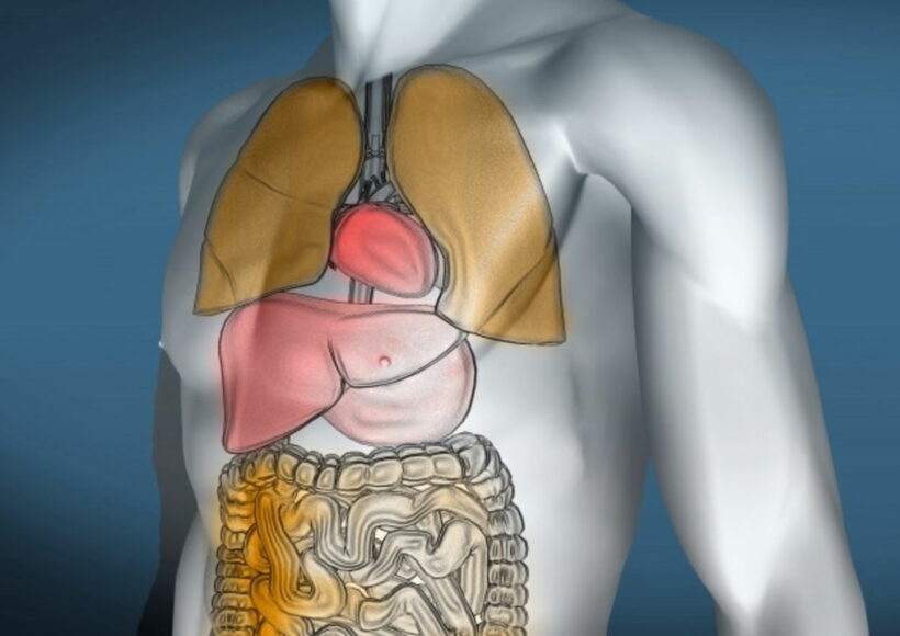 Webp.net Resizeimage 94