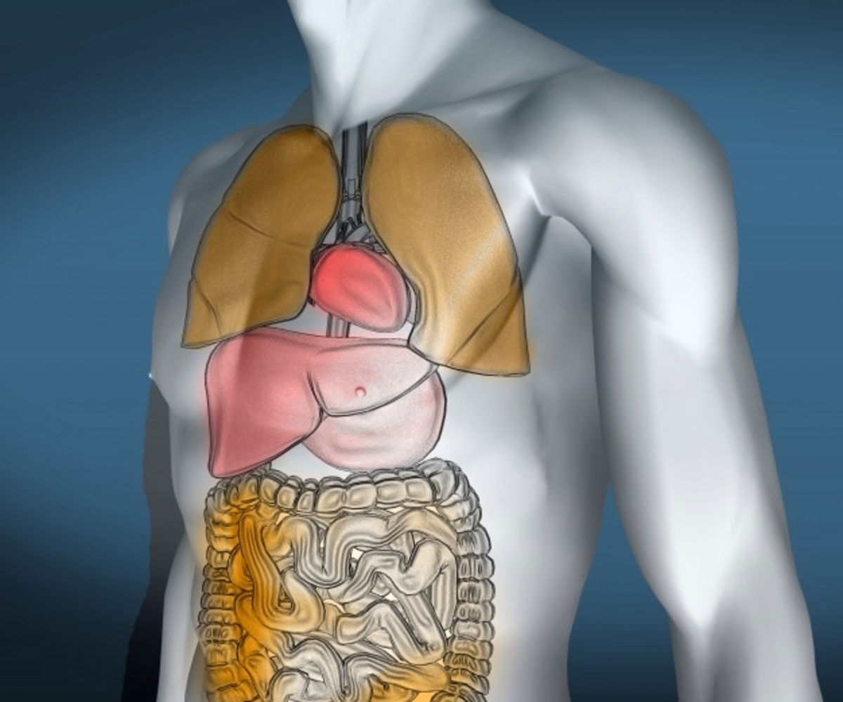 Webp.net Resizeimage 94