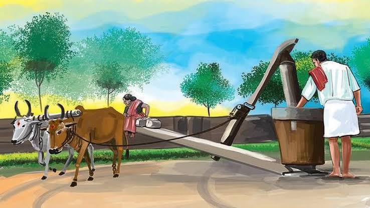 Images 2020 02 14T225703.709 1 1