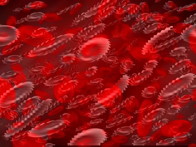 Finger Millets | Ragi Health Benefits| Buy Now At The Best Price! 6 Red Blood Cells Background 53562 6792