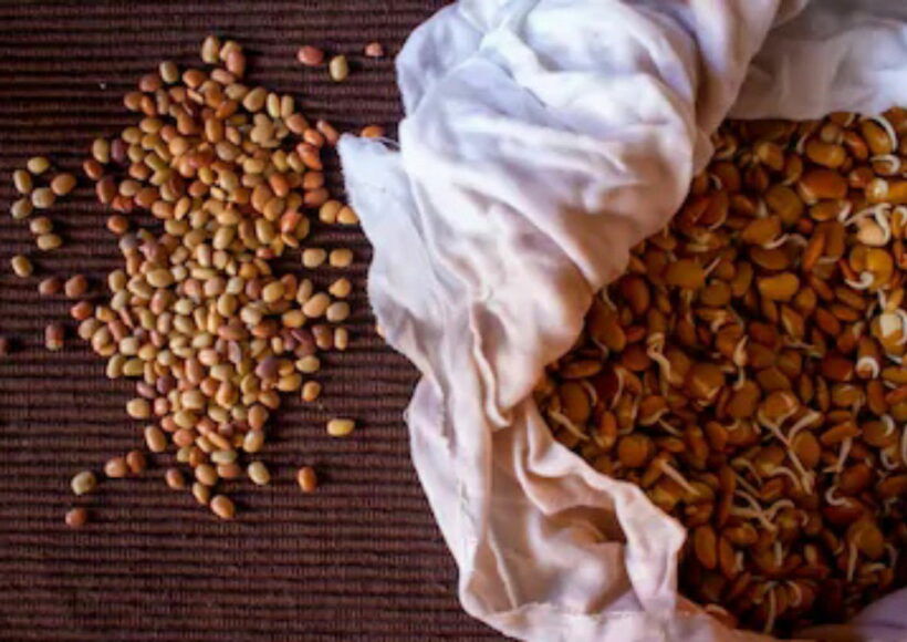 Img 20200926 190456 1 Copy 1280X830