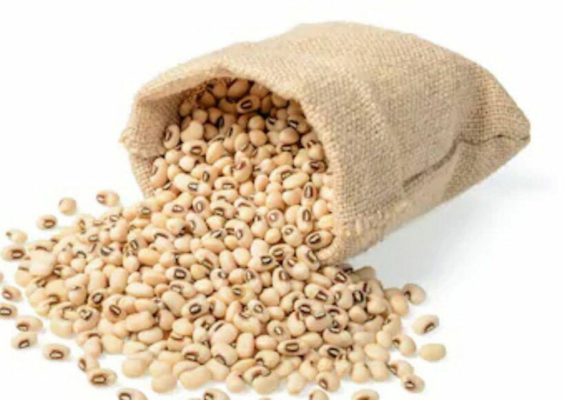 White Thattaipayiru |White Cowpeas|Buy Now At The Best Price! 2 Img 20201001 200338 1 Copy 1280X788