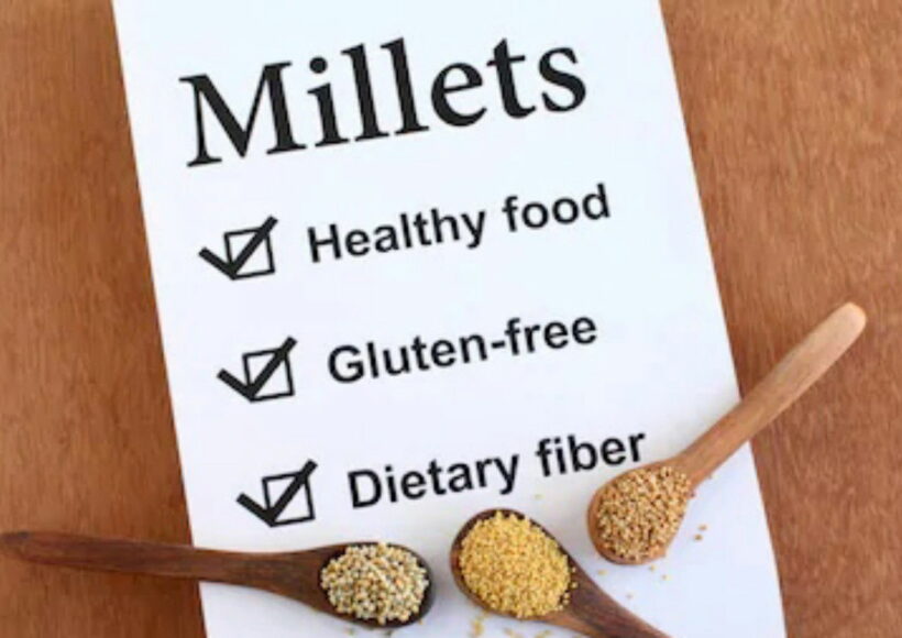 Finger Millets | Ragi Health Benefits| Buy Now At The Best Price! 22 Img 20201010 152020 3 Copy 1280X830