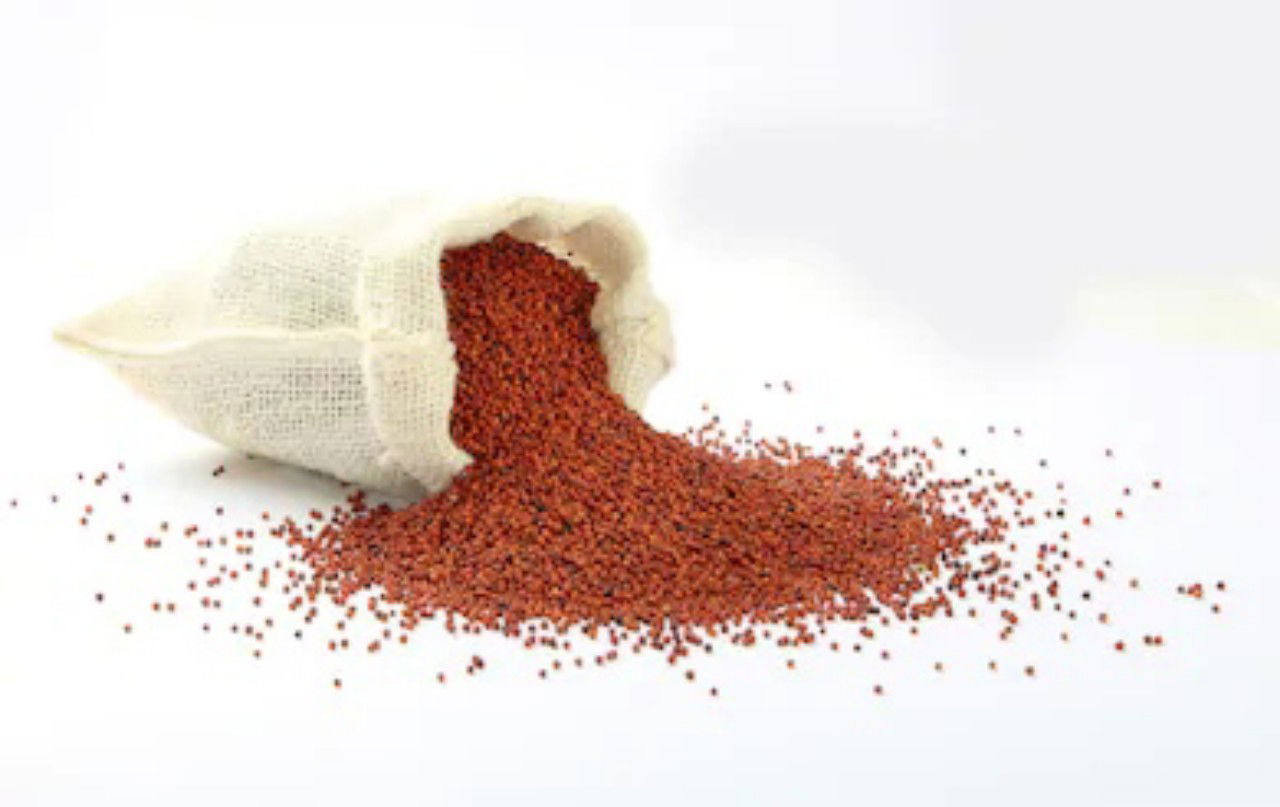 Finger Millets | Ragi Health Benefits| Buy Now At The Best Price! 2 Img 20201010 182115