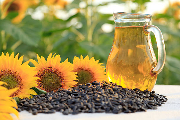 Sunflower Oil With Sunflowers And Sunflower Seeds In Sunflower Field. Shallow Dof. Istockphoto 155284344 612X612 1 1