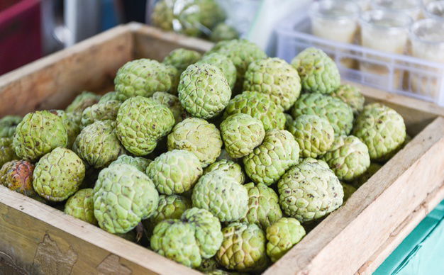 Sugar Apple Benefits: Here Why You Must Have Sugar Apple This Season 2 Sugar Apple Wooden Box Fruit Market Asian Annona Sweetsop Custard Apple 73523 4653