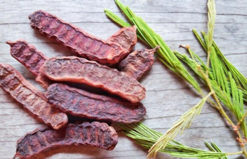 Shikakai Powder: Benefits &Amp; Diy Shampoo 6 60Ace5C18E88B