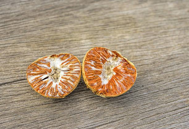 Istockphoto 545560226 612X612 1