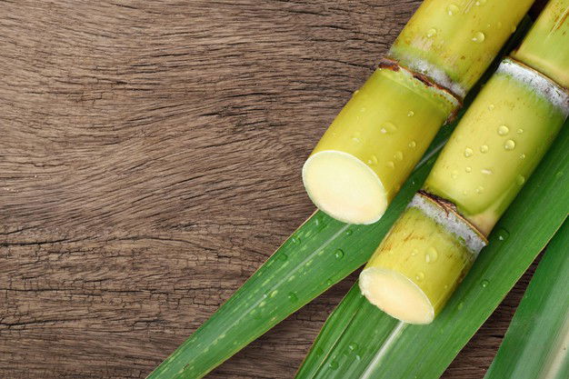 Flat Lay Top View Fresh Sugar Cane With Water Droplets Wood Background 252965 448