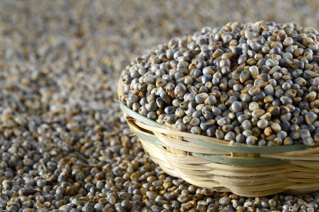 7 Peculiar Uses Of Pearl Millets!(Kambu) 10 Bajra Pearl Millet Wooden Bamboo Basket 136354 4188