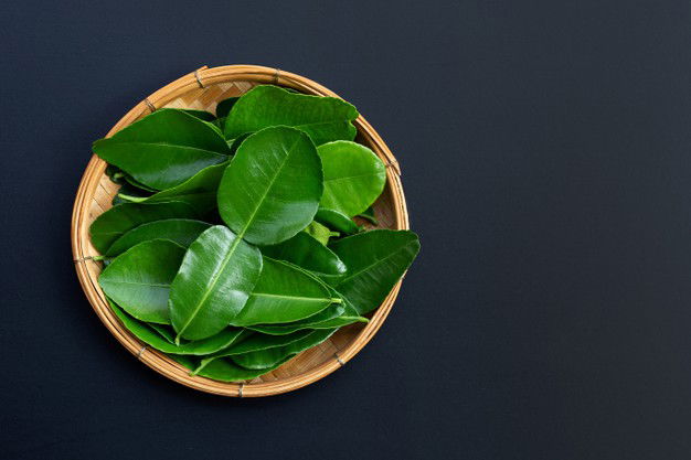 Bergamot Kaffir Lime Leaves Herb Fresh Ingredient Dark Background 51524 10984