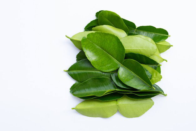 Bergamot Kaffir Lime Leaves Herb Fresh Ingredient Isolated White Background 51524 10817