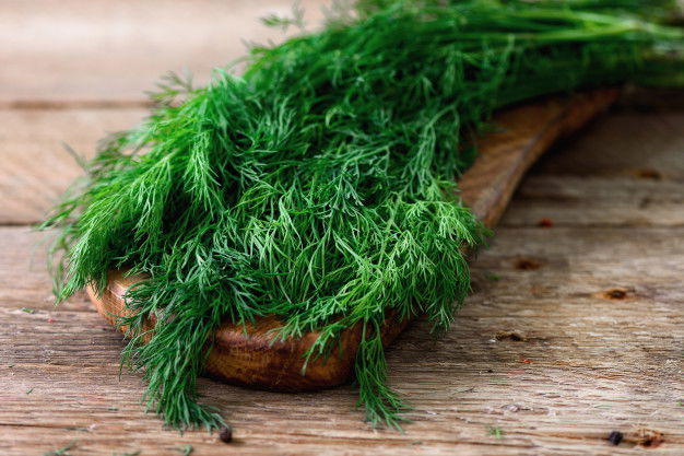 Bunch Fresh Organic Dill Wooden With Copyspace Rustic Vintage Style Selective Focus 80743 779