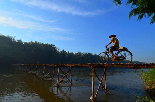 Unknown Facts Revealed About The Tribal Bamboo Rice!(Mulayari, Moongil Rice) 4 Cycling Across Bamboo Bridge Bantul Central Java Indonesia 97378 159