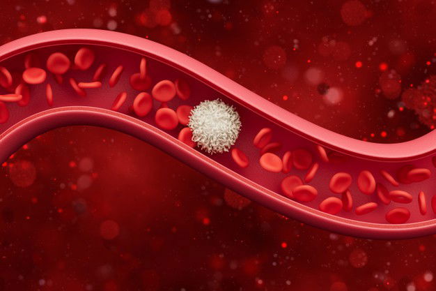 How To Improve Platelet Counts Naturally! Everything You Need To Know About Platelets 9 Red Blood Cells Inside Artery Vein Flow Blood Inside Living Organism Scientific Medical Concept 3 D Illustration 200694 269