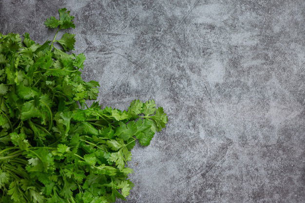 Fresh Green Coriander Dark Floor 1150 27878
