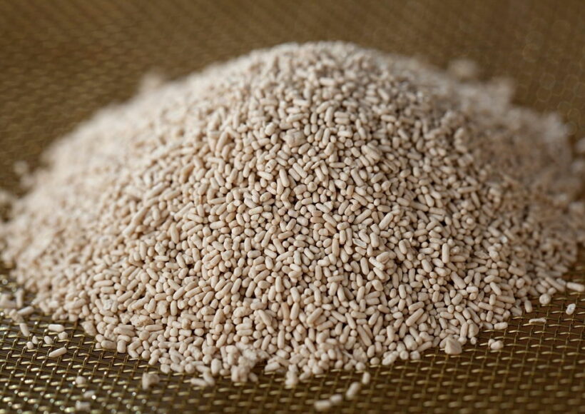 Downloader.la 613E54C985D6B