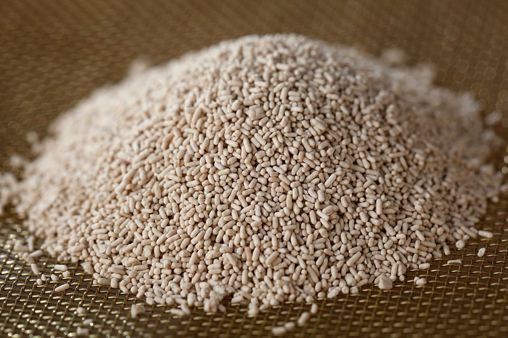 Downloader.la 613E54C985D6B