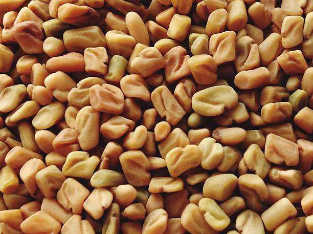 Gettyimages 603075357 612X612 1