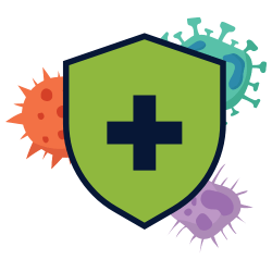 Anti-inflammatory sorghum millet noodles for a healthy and tasty meal.