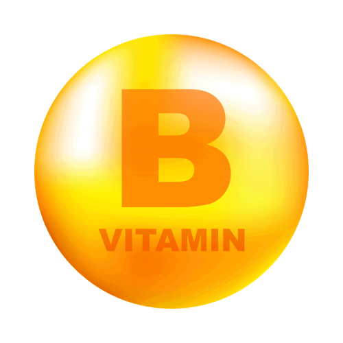 "Kodo millet biscuits – nutritious snack rich in B-complex vitamins for energy and overall wellness, tasty and wholesome for all ages