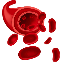 Sorghum millet noodles are packed with nutrients that help improve blood circulation and overall health.