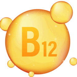 Foxtail millet flakes, a rich source of vitamin B12.