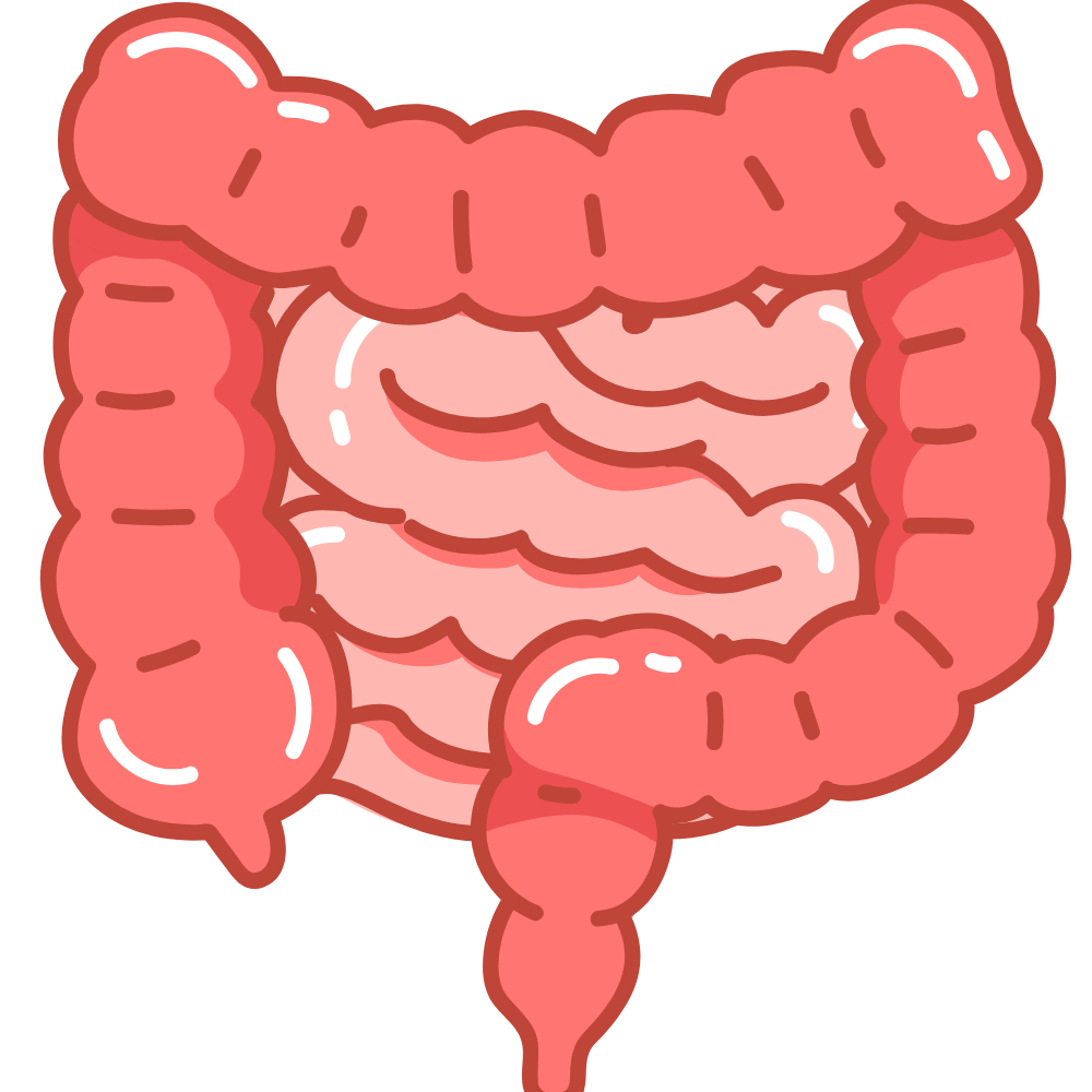 “Natural foods and ingredients that support healthy digestion